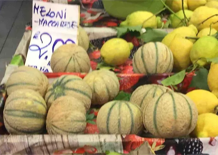 Vatican Rhapsody Rom